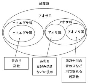 のり餅に入れる 青のり と あおさ の違いについて調べてみました カネチョク